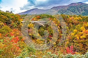 Beautiful autumn color of foliage at Naruko Gorge