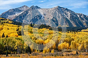 Beautiful Autumn Color on Kebler Pass, Colorado