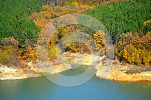 Beautiful autumn colored lakeside forest