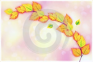 Beautiful autumn Colorful foliage. Falling leaves natural background