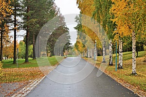 Beautiful autumn colors at the cemetery