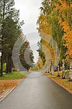 Beautiful autumn colors at the cemetery