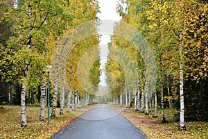 Beautiful autumn colors at the cemetery