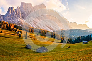 Beautiful autumn colors at the foot of the Odle Mountains in the backdrop of the Seceda Mountains at sunset in the Dolomites,