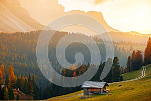 Beautiful autumn colors at the foot of the Odle Mountains in the backdrop of the Seceda Mountains at sunset in the Dolomites,