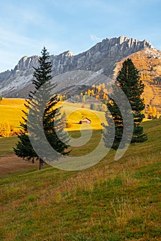 Beautiful autumn colors at the foot of the Odle Mountains  at sunset in the Dolomites, Trentino Alto Adige, Val di Funes Valley,