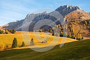 Beautiful autumn colors at the foot of the Odle Mountains  at sunset in the Dolomites, Trentino Alto Adige, Val di Funes Valley,