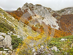 Beautiful autumn colors in the mount Terminillo, Lazio region