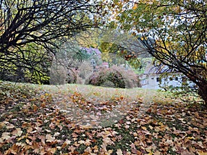 Krásné podzimní barvy na Slovensku