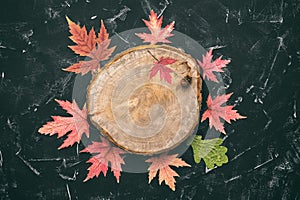 A beautiful autumn composition, an old tree stump and a frame of dry maple and oak leaves. Black stone background. Top view, flat