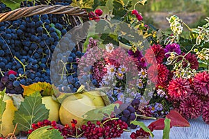 Beautiful autumn composition with ripe fruits and bunch of flowers