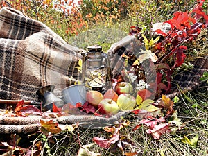 Beautiful autumn composition with vintage lantern, mug, coffee turk, brown wool blanket, apples, pears and maple leaves