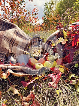 Beautiful autumn composition with vintage lantern, mug, coffee turk, wool blanket, apples, pears and maple leaves
