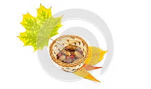 Beautiful autumn composition wicker basket and leaves on white isolated background