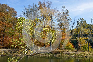 Beautiful Autumn Day in Brown County