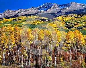 Beautiful Autumn Day, Kebler Pass, ColoradoDay