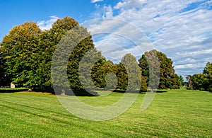 Beautiful autumn day in a park setting