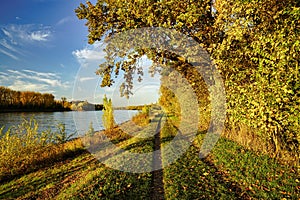 A beautiful autumn day at river Rhine. A path leading along the river. Germany, Baden-Wuerttemberg