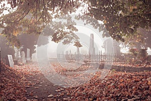 Beautiful autumn or fall graveyard cemetery covered in fallen leaves and foliage carpet