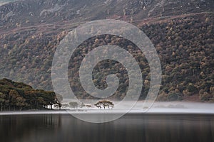 Beautiful Autumn Fall landscape image of Crummock Water at sunrise in Lake District England