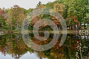 Beautiful autumn fall landscape on a lake.