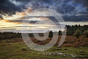 Beautiful Autumn Fall sunset over forest landscape with moody dr