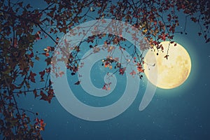 Beautiful autumn fantasy - maple tree in fall season and full moon with star.