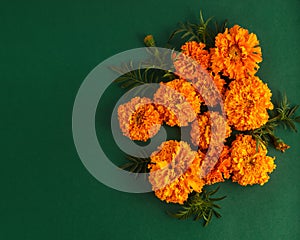 Beautiful autumn flower arrangement on a green background. simple flat lay, top view with place for text. layout of a postcard,
