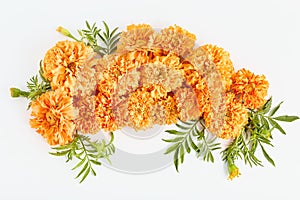 Beautiful autumn flower arrangement on a white background. simple flat lay, top view