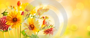 Beautiful autumn flowers on yellow blurred background. Dahlia, daisy,  sunflowers. Panorama, banner with copy space