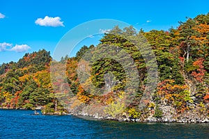 Beautiful autumn foliage scenery landscapes. View from Lake Towada sightseeing Cruise ship