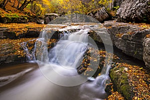Beautiful autumn foliage and waterfall