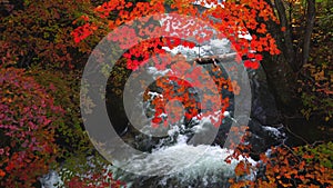 Beautiful autumn forest with the colorful foliage and the flow of Yukawa River