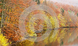 Beautiful autumn forest lake