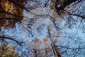 Beautiful autumn forest in Monchique region, Portugal