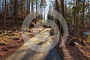 Beautiful autumn forest mountain path at sunset