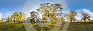 Beautiful autumn forest or park of oak grove with clumsy branches near river in gold autumn. hdri panorama with bright sun shining