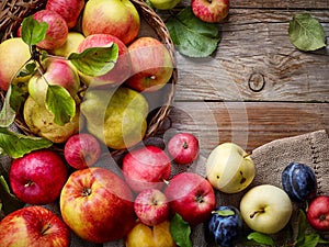 Beautiful autumn fruits