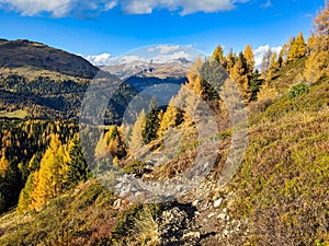 beautiful autumn hike above lake davos. Colored larch forests. Mountain panorama in Davos Klosters Mountains.