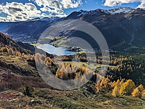 beautiful autumn hike above lake davos. Colored larch forests. Mountain panorama in Davos Klosters Mountains