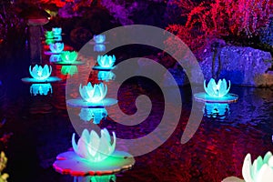 Beautiful autumn Japanese garden at night with lights loto flowers