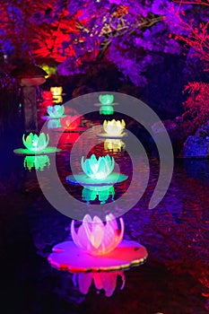 Beautiful autumn Japanese garden at night with lights loto flowers