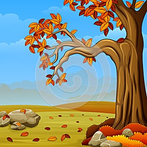 Beautiful autumn landscape