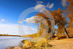 Beautiful autumn landscape