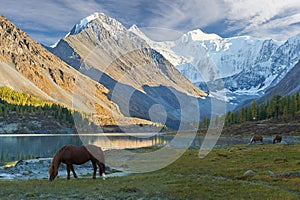 Beautiful autumn landscape, Altai mountains Russia.