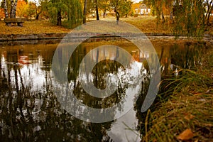 Beautiful autumn landscape. Autumn gradient of flowers. Colorful foliage on the trees