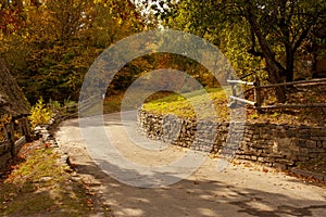 Beautiful autumn landscape. Autumn gradient of flowers. Colorful foliage on the trees