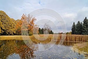 Beautiful autumn landscape - the autumn pond