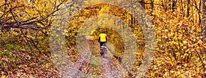 Beautiful autumn landscape, banner, panorama - cycling through dirt path
