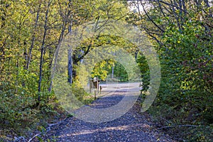 Beautiful autumn landscape with barrier gate blocking forest road, surrounded on both sides by green and yellow trees.